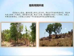柬埔寨西哈努克港80公頃旅游地產開發項目推薦